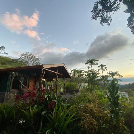 Chorotega Cabina Otel Monteverde Dış mekan fotoğraf