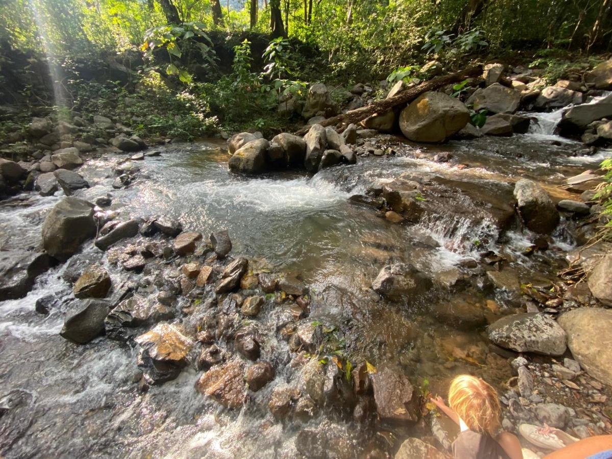 Chorotega Cabina Otel Monteverde Dış mekan fotoğraf